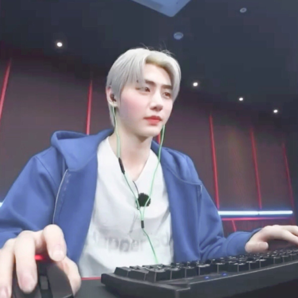 แมวตัวนี้เล่นเกมเป็นด้วยหรอคะเนี่ย