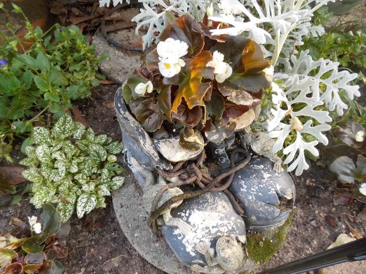SeeLoveFollow's tweet photo. #TakingATwitterBreak #OnePostPerDay #AllPreScheduled #BackOnMay1
#FlowersOnFriday
One of the healthiest ways to gamble is with a spade and a package of garden seeds. - Dan Bennett https://t.co/gxcovQXAqK
