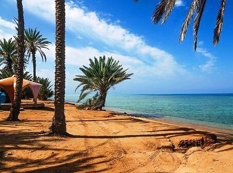 MybeautifulKSA's tweet photo. Ras al-Shabaan beach, which is located south of the city of Umluj, and is considered the most suitable for children due to the gradation of the water depth in its coasts
#SaudiAraibia https://t.co/BghWRBJUMf