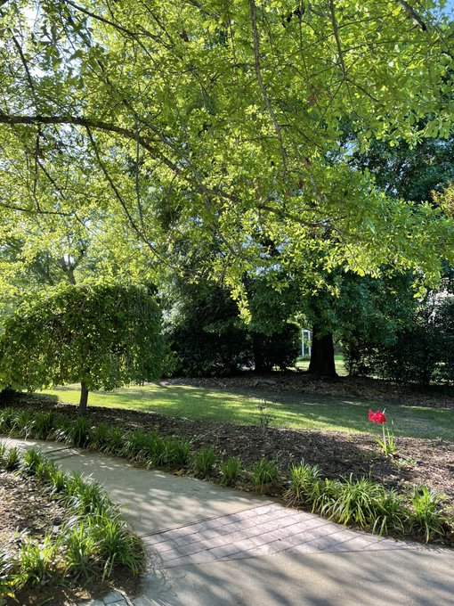 What a beautiful day ☀️ https://t.co/LKwEA3sqzm<a href="/tag/neverforget"class="tags"><span>#neverforget</span></a>