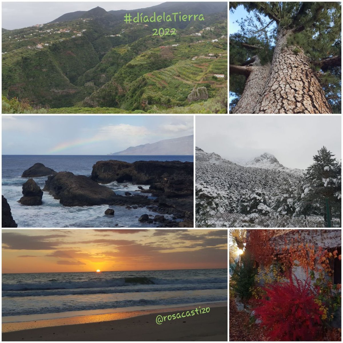 Querida Madre Tierra:
Qué poco me gusta lo q estamos haciendo contigo y con quienes te habitamos. Increíble paciencia la tuya.
Dicen que hay que dar noticias en positivo sin contar penas. Así que añado fotos de tu singularidad y sigo trabajando para q cada día sea #DiaDeLaTierra