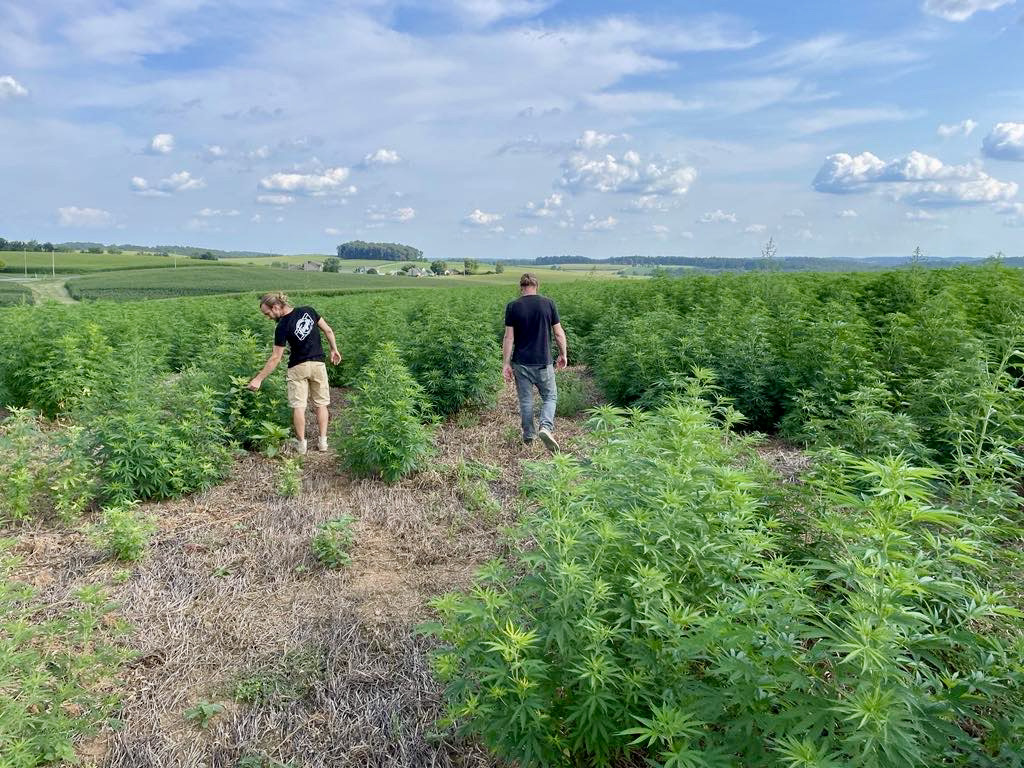 Happy Earth Day from all of us at Floyd's of Leadville. We're proud to use sustainable and eco-friendly farming practices on our hemp farms not only because it makes for superior products, but because it's the right thing to do 🌎 

#floydsofleadivlle