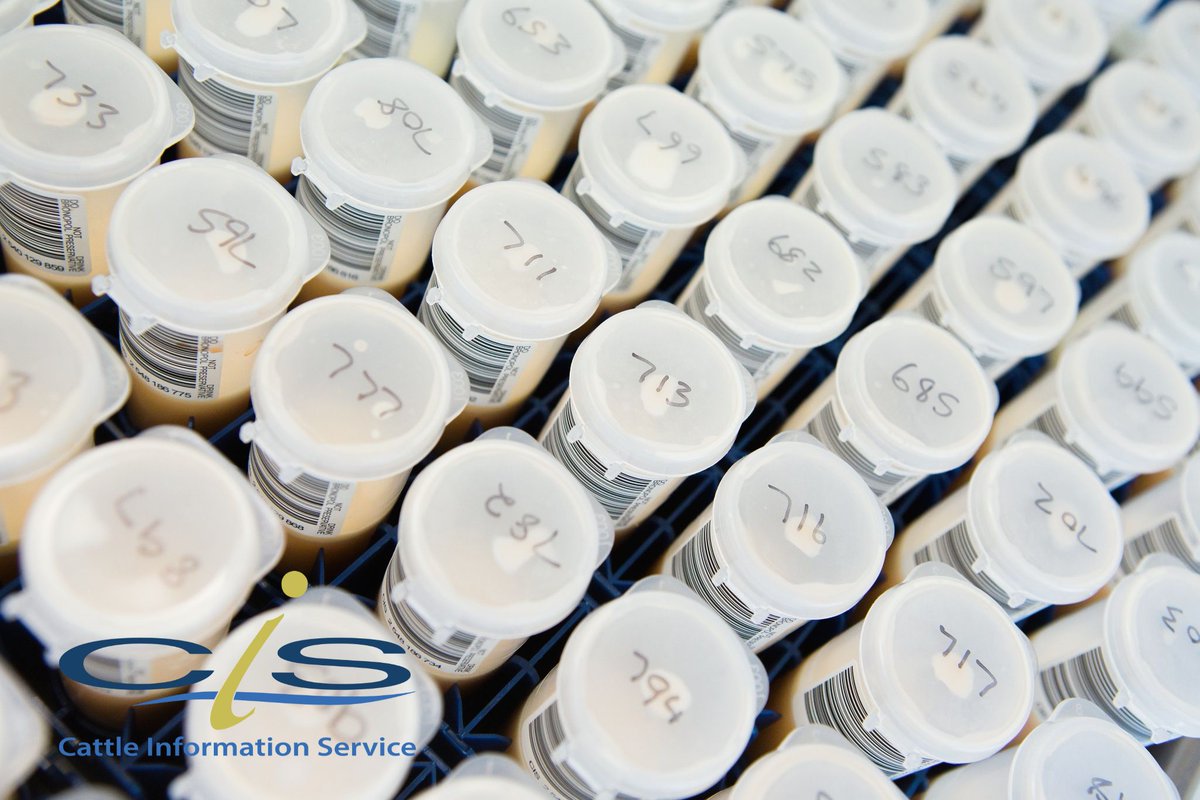 We have Milk Recorder vacancies in:
Ayrshire, Staffordshire, Devon, Fife, Annan/Gretna Area, Lanarkshire, South Lakes/North Lancashire, South Yorkshire, Layburn, Northallerton, Whitby &amp; Scarborough​ and the Isle of Man.
For more information go to: thecis.co.uk/careers