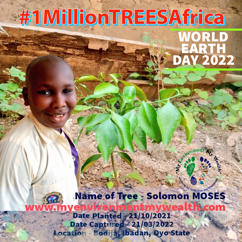 WONNEafronelly's tweet photo. AN #ECOCENTRICeCONOMY
Happy #WorldEarthDay

Know your bank ethics wrt #climatechange?

I understand a bit of @myaccessbank Bank PLC Sustain_ABILITY code of ethics so I still bank with them

You can also join #1MillionTREESAfrica today! 

#InvestInOurPlanet
#TheECOpledge
#SEAL2023 https://t.co/C3mom31tDi