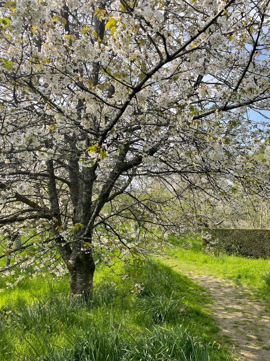 Cotehele NT tweet media