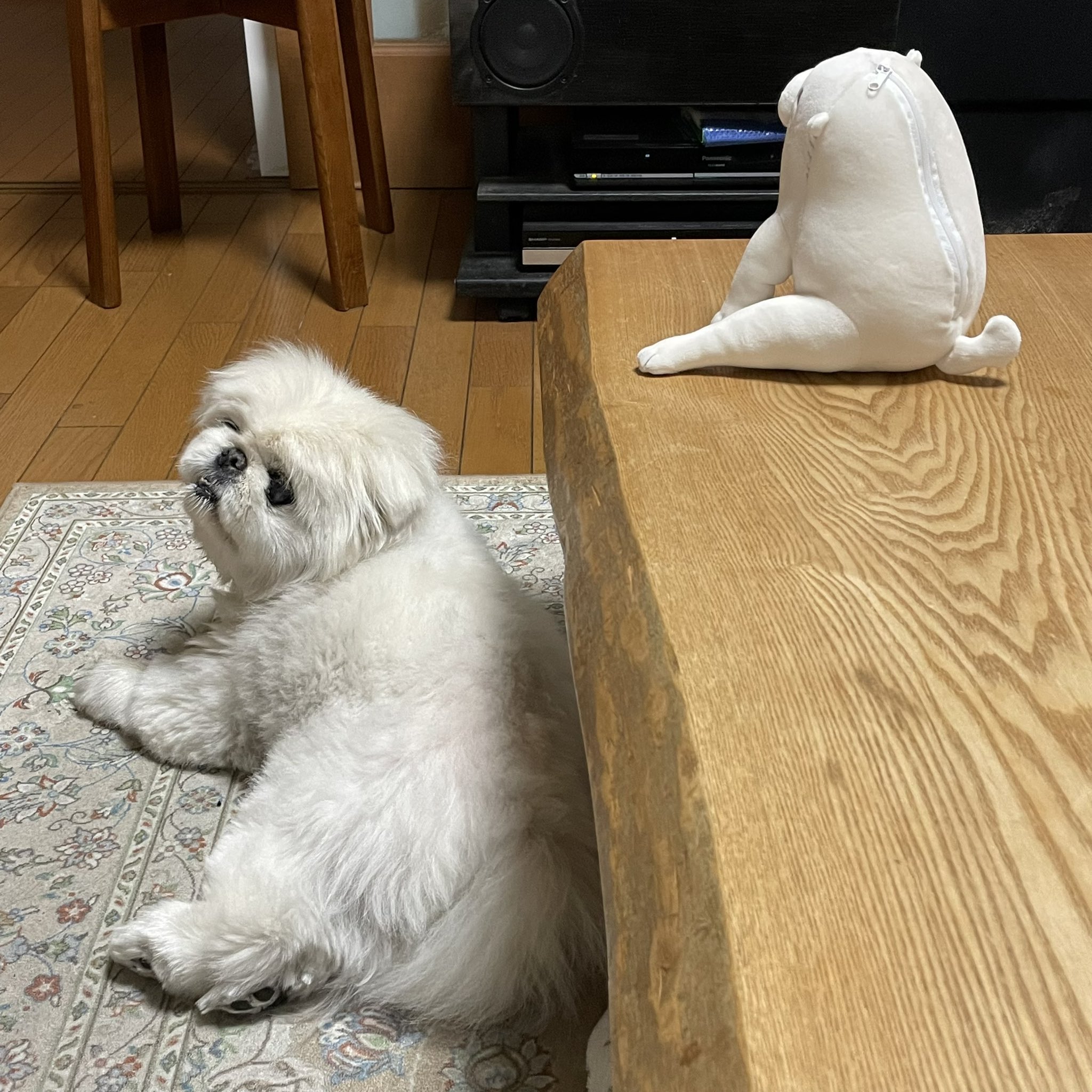 長沢芦雪の犬 Twitter Search Twitter