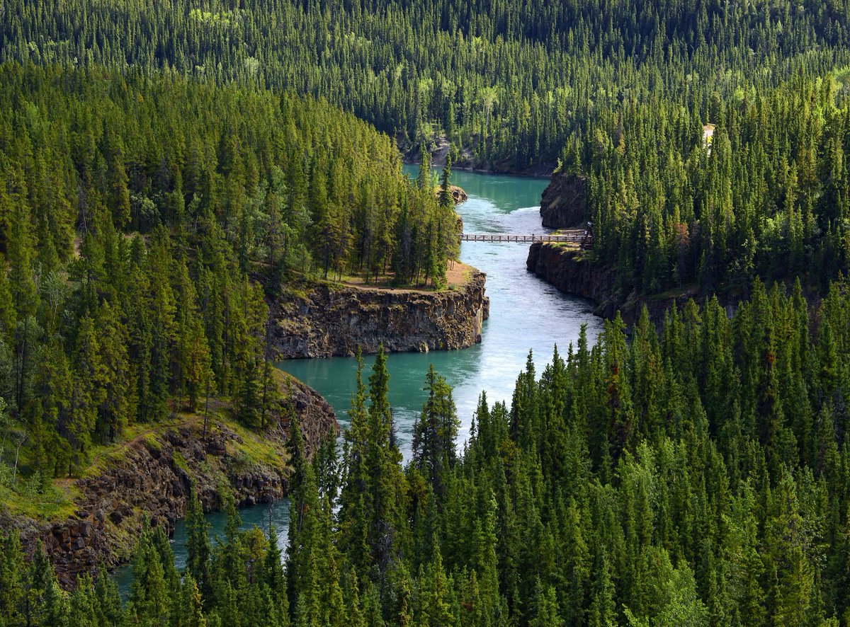 Canada's tweet photo. Happy #EarthDay! 🇨🇦 is thankful for all of its natural beauty. Taking care of our planet is essential, so join us in making impactful changes in our everyday life to help out our beautiful🌎
📍Georgian Bay, Ontario
📍Banff, Alberta
📍Miles Canyon, Yukon
📍Gros Morne, NL https://t.co/9vuh3p6KGC