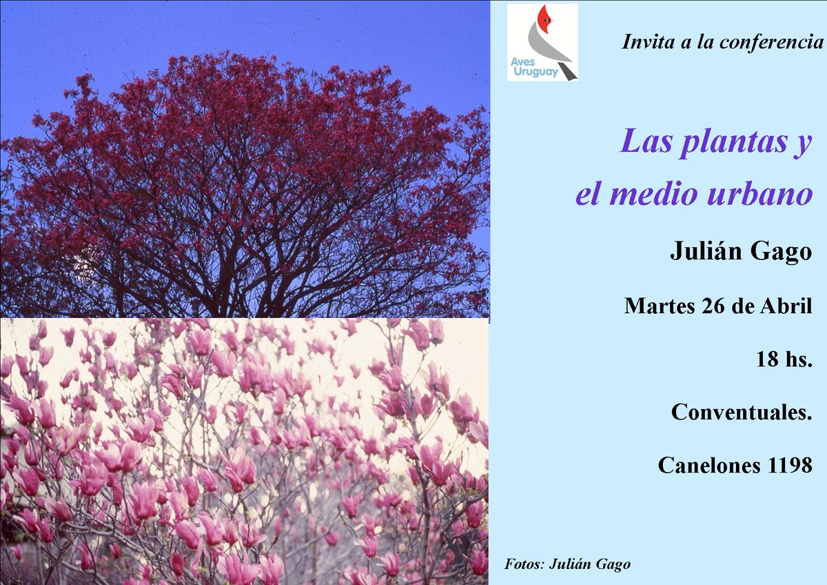 Próxima charla en Aves Uruguay: 
Las plantas y el medio urbano
🗓️ Martes 26/4