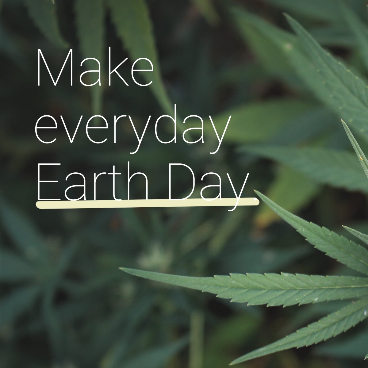 In celebration of Earth Day and sustainability we put together a comprehensive report, linked below, featuring food trends and applications. We believe that hemp can play a significant role in a healthier planet. 🌏💚 #EarthDay2022 #EarthDay 
loom.ly/U7sZMM8