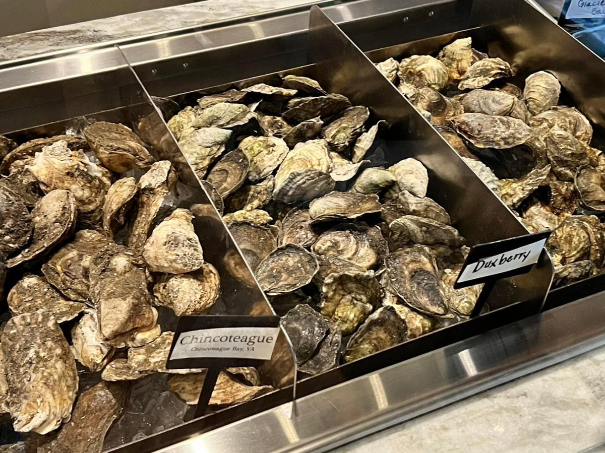 Rafaels3232's tweet photo. Shucking our way into the weekend 🦪 https://t.co/YLXs1P3i4i
