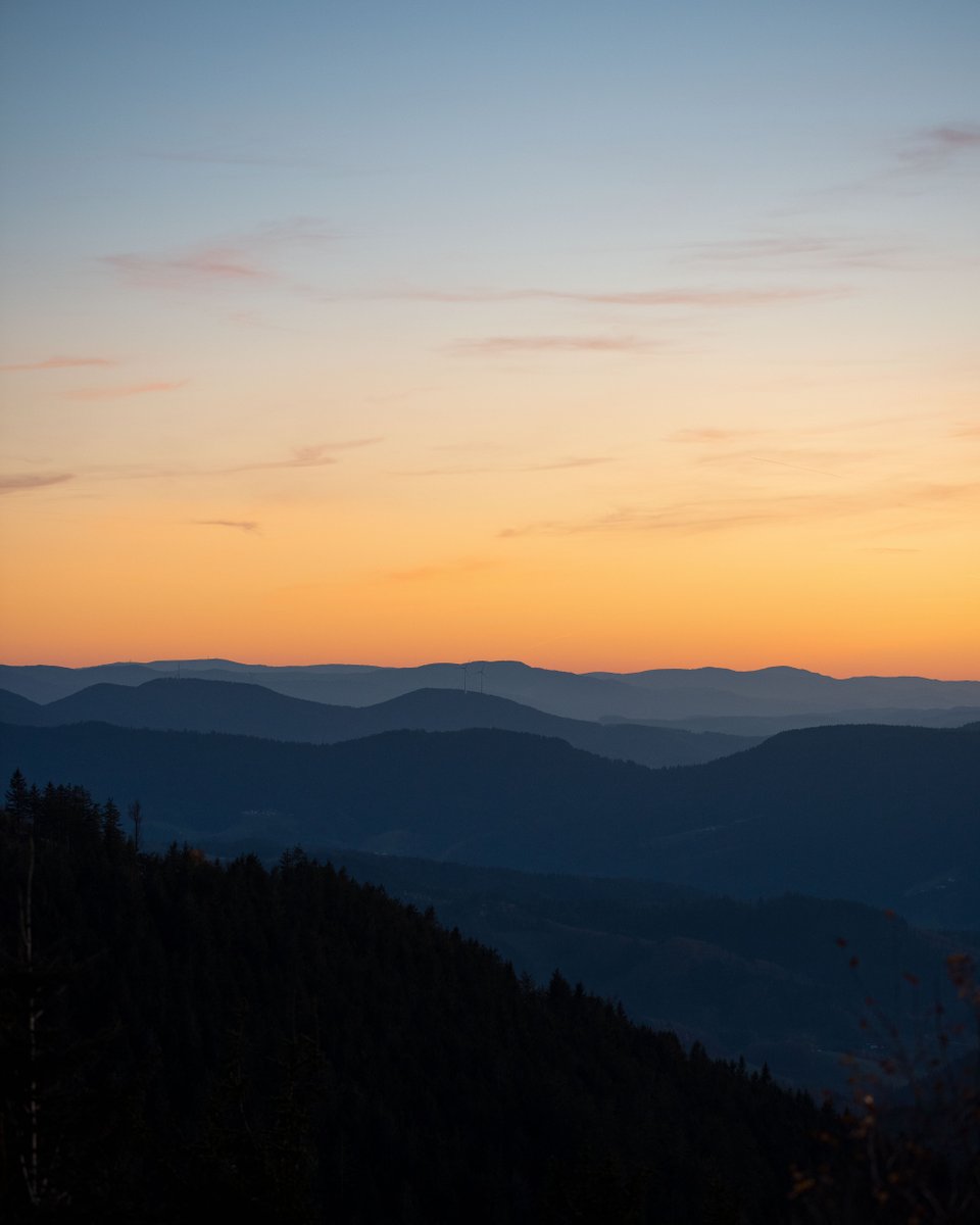 nlpschwarzwald's tweet image. Es gibt keinen Planeten B.

#TagderErde #Nationalpark #Schwarzwald