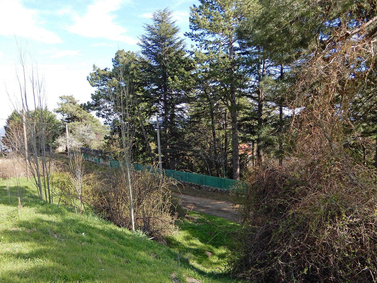 AlymarEdiciones's tweet image. 📸 Antigua Lanchuela, ya desaparecida por las edificaciones.

Más imágenes de #DeslindesEscurialenses 📖 en 👉 bit.ly/3LOYhtE

#Madrid #sierranortedemadrid #guadarrama #picoftheday #photo #photooftheday #nature #SierradeGuadarrama #naturaleza #natural #geography