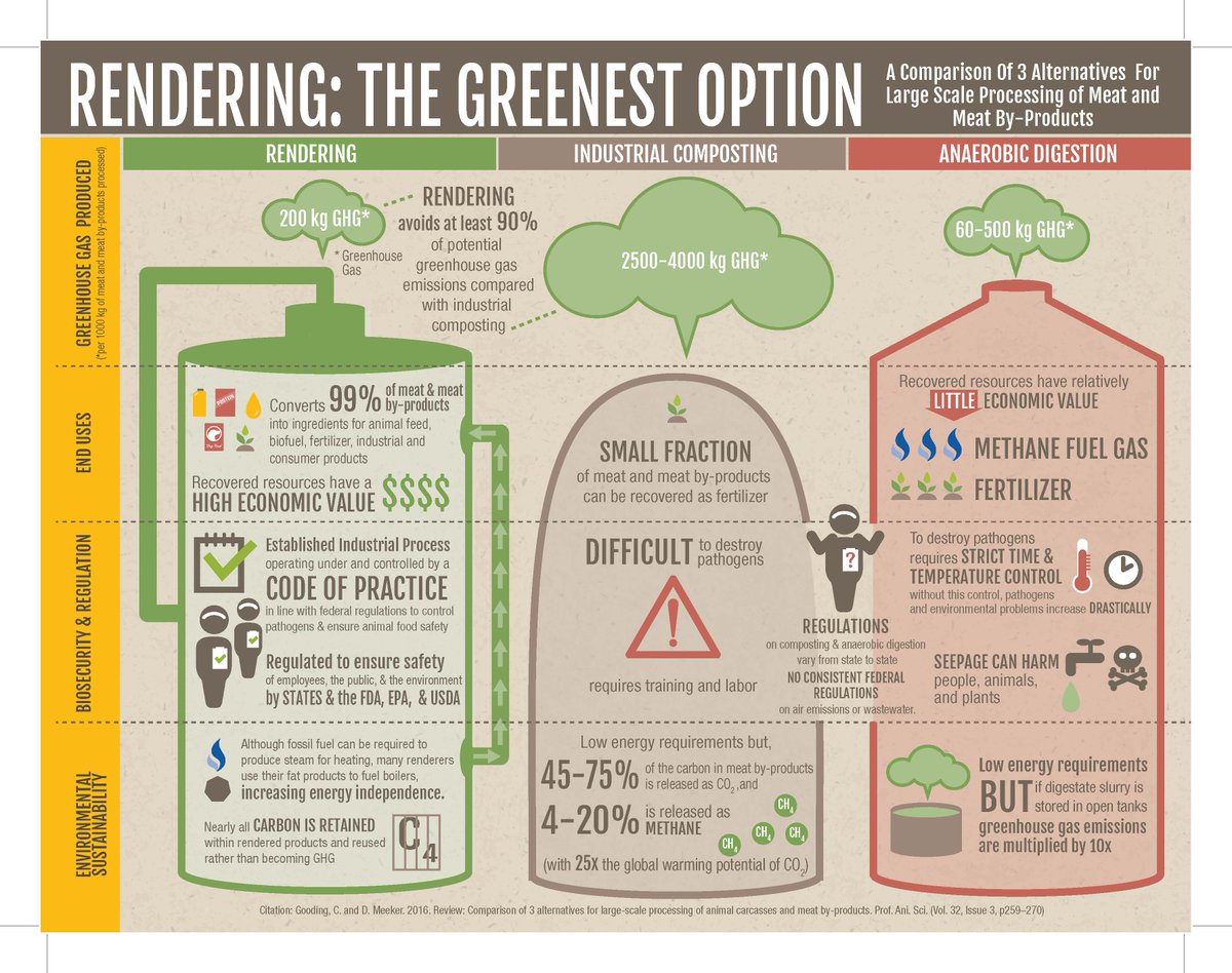 Earth Day is 365 days a year for renderers, the original recyclers! #rendering #sustainability