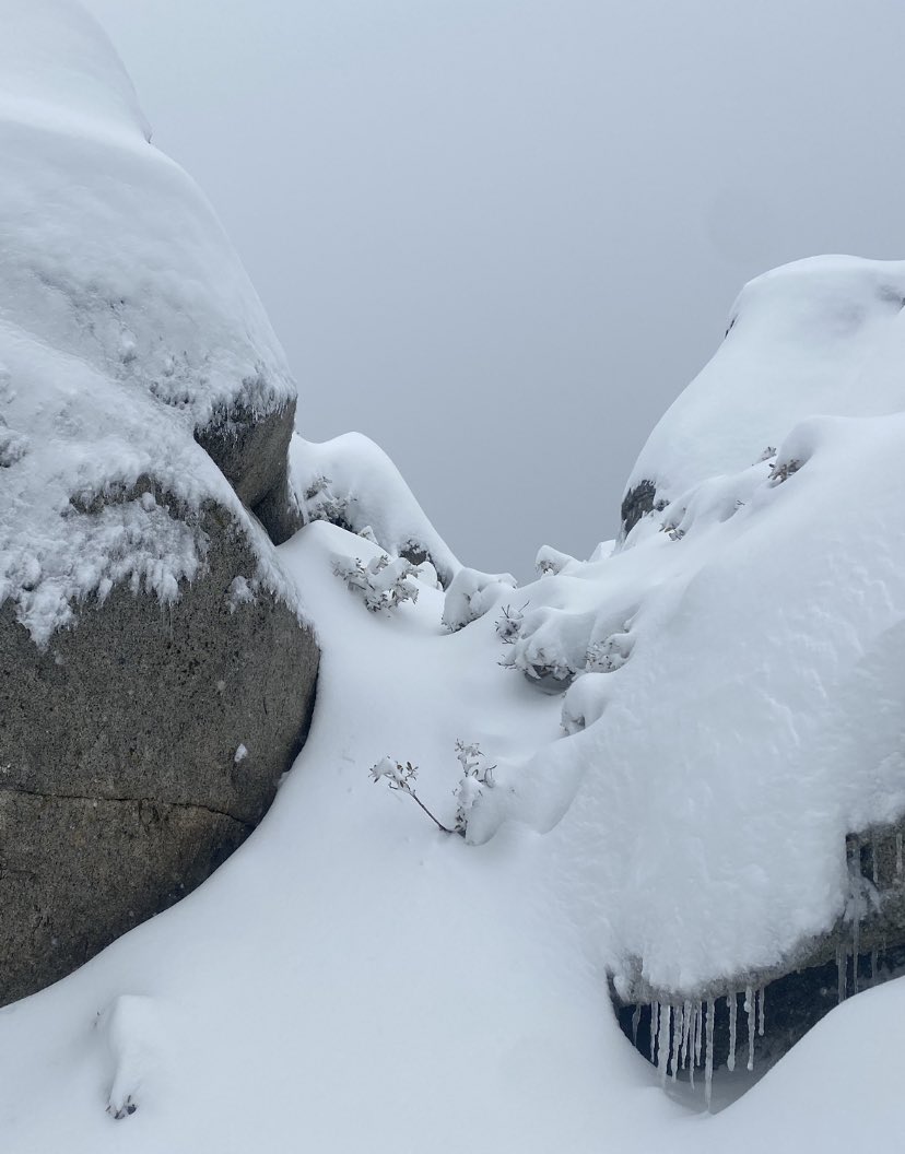 randomchance tweet media