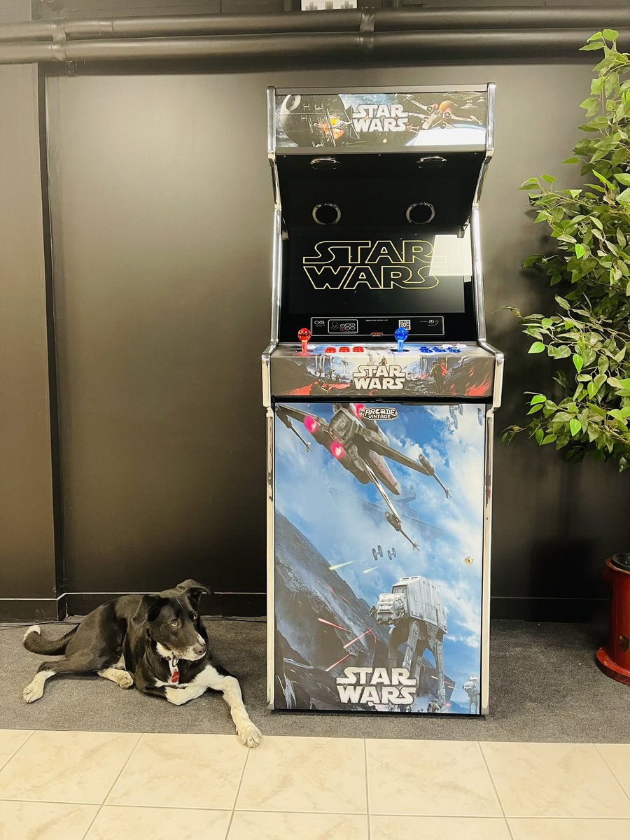 arcadevintagefr's tweet photo. 🕹 La Borne d’arcade #starwars 🛸

👉 https://t.co/Et1ZHuvcBr 🤖
.
#madeinfrance #handcrafted #handmade #arcade #arcadecabinet #arcadegames #arcademachine #highend #classicarcade #highquality #retrowave #lifestyle #luxurygaming #arcadegame #gamingroom  #foconmillenium #darkvador https://t.co/8Id6DILAO4