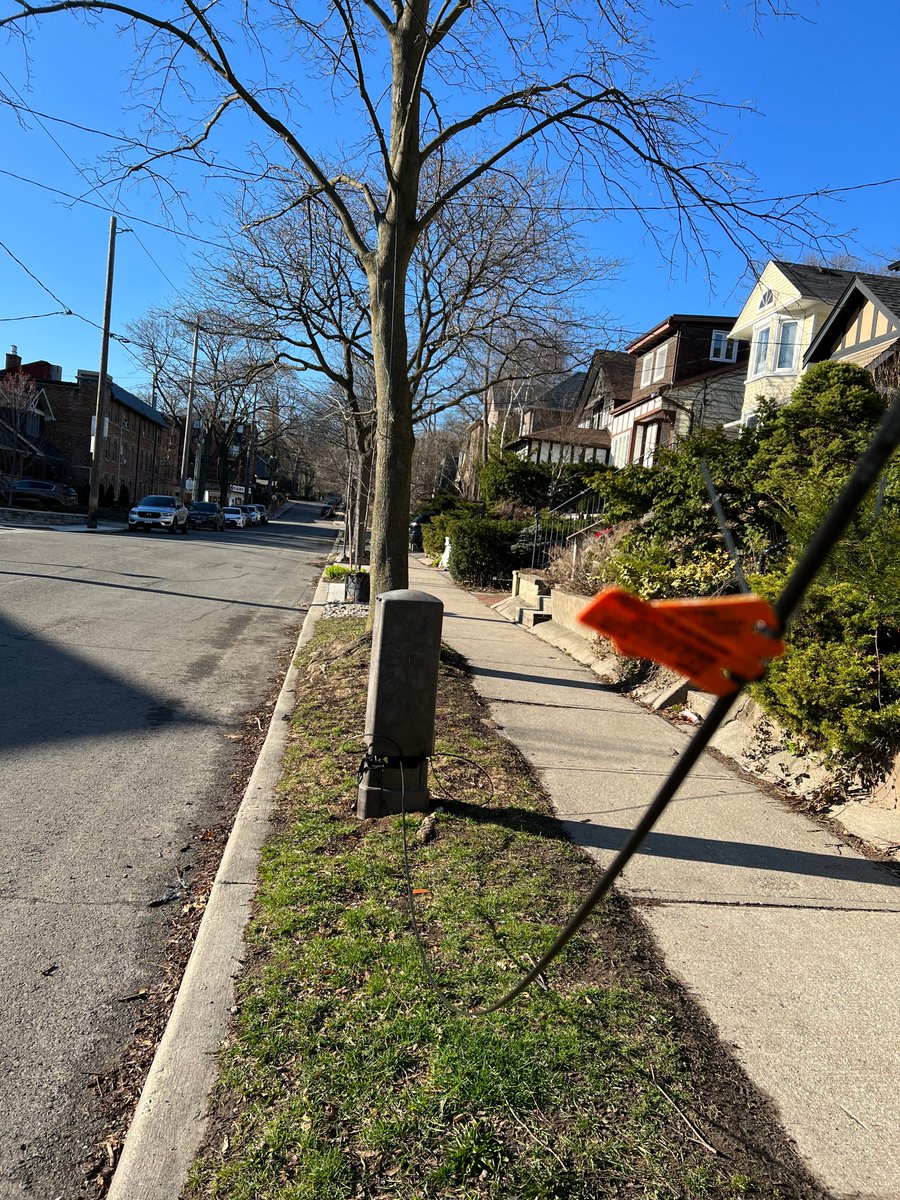 fawnff's tweet photo. @Bell @Bell_Support Ever since Bell Fibe was installed on our street, the boulevard has been a mess. The service boxes are rarely closed, the wires hang low, and they are looped the through trees to service the houses. How is this "completely awesome"? I'll tell you. It's not. https://t.co/5uf3iymgzZ
