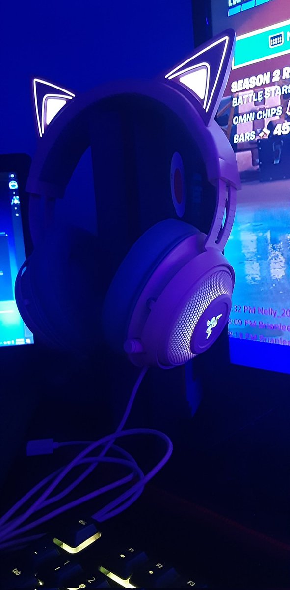 shanelle2096's tweet image. My Setup #setup #labtop #keyboard #mouse #razer #kittykracken #Twitch