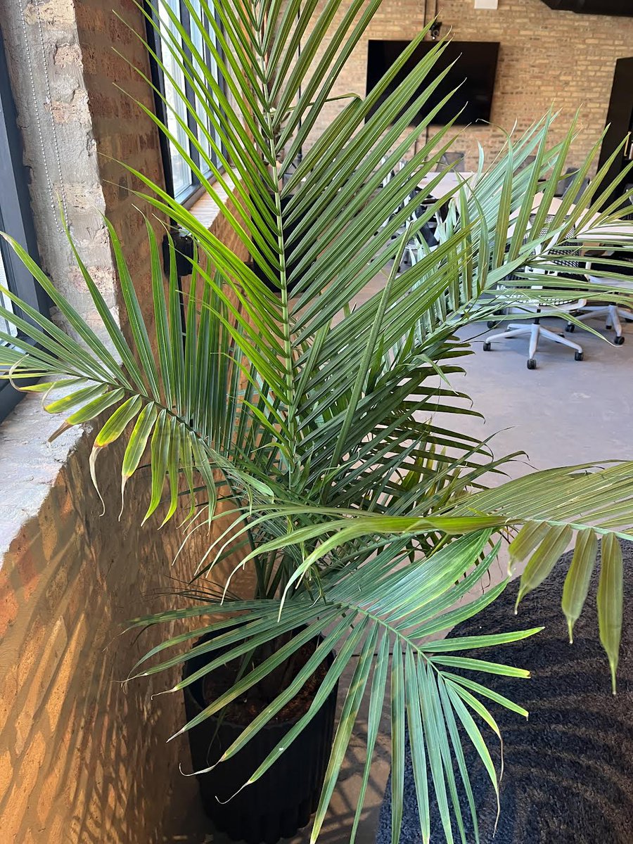 The Escape Pod tweet media