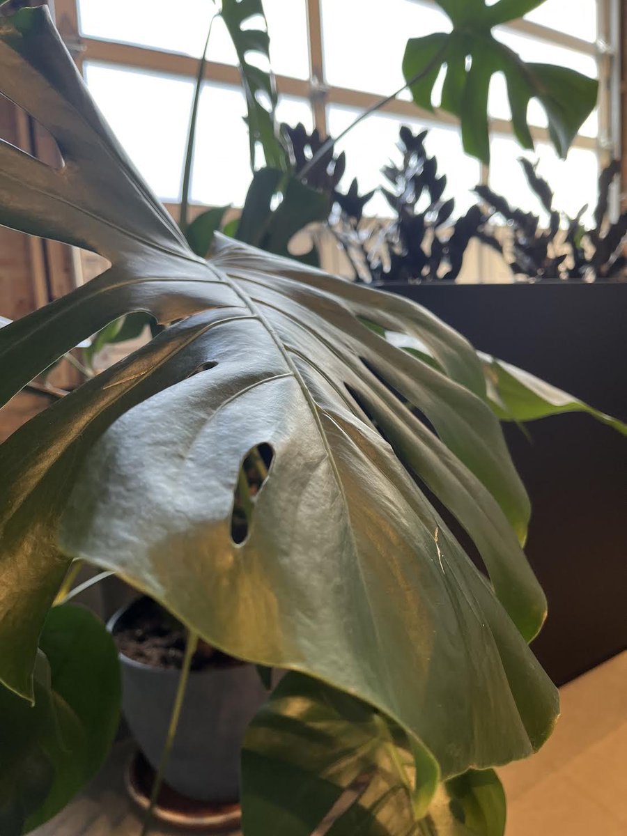 The Escape Pod tweet media