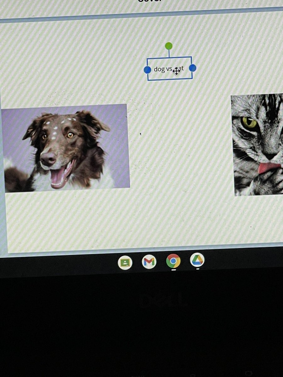 Book Creator for the win! Lil’ Texans are creating their very own VS books! <a href="/CLESLilTexans/">Clara Love ES</a>