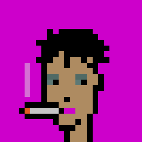W1lfredoGomez's tweet photo. The future is phunky and female #phunkfriday @NotLarvaLabs https://t.co/O1CwgSmHTV