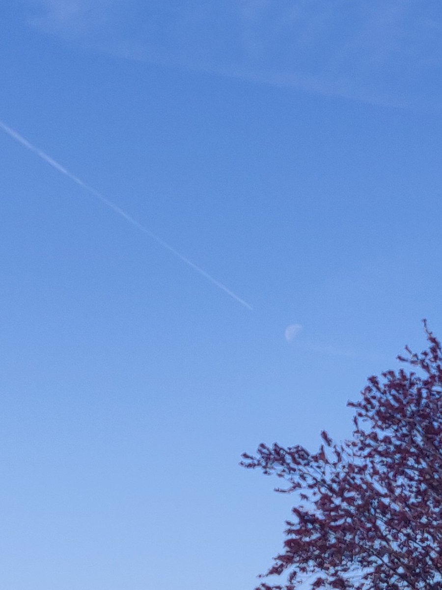 mollygrl17's tweet photo. When you're out at recess and notice the contrail of a plane is "heading" straight for the moon.
 🎶 Fly me to the moon. Let me play among the stars... 🎶 https://t.co/WnOMqieQTS