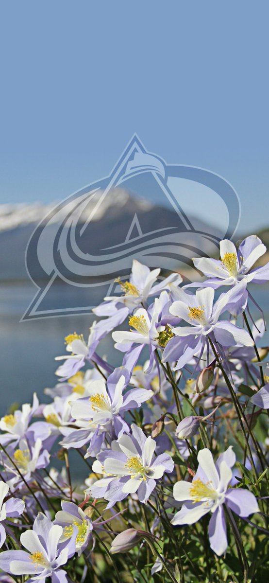 Avalanche's tweet photo. Happy Earth Day from us to you!

Feeling extra blessed to call this beautiful state home.

#GoAvsGo https://t.co/QnP5OGfFjZ