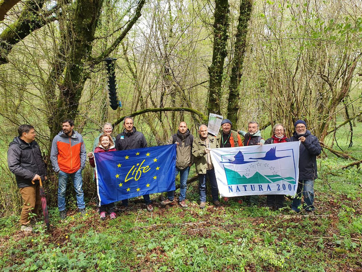 LifeSamfix's tweet image. The two-day monitoring visit of the Life #SAMFIX project ended today. Yesterday the European partners of the project illustrated the latest results obtained, while today with the representatives of the associations there was a field trip in the @ParcoCastelli 

@LIFEprogramme