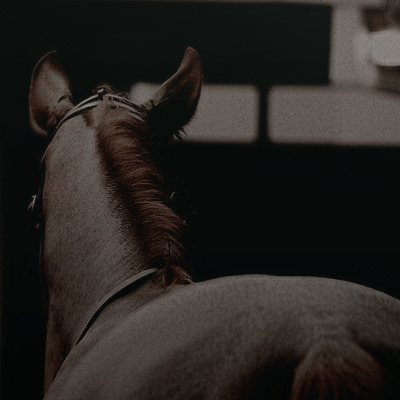 ginnpweasley's tweet photo. ㅤㅤ
ㅤ 
ㅤ     𝑆ℎ𝑒'𝑠 𝑤ℎ𝑖𝑠𝑘𝑒𝑦 𝑖𝑛 𝑎 𝑡𝑒𝑎𝑐𝑢𝑝

                           ◜ 𝑮𝑰𝑵𝑵𝒀 𝑾𝑬𝑨𝑺𝑳𝑬𝒀 ◞ https://t.co/Ca14xdjyVT