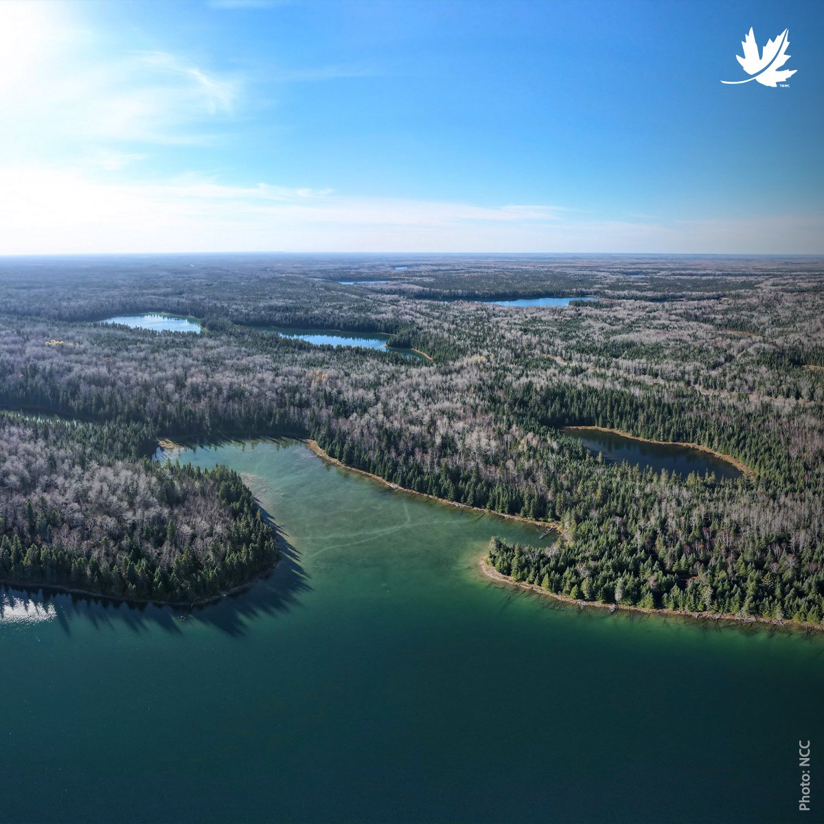 NatureConservancy.ca | Conservationdelanature.ca tweet media