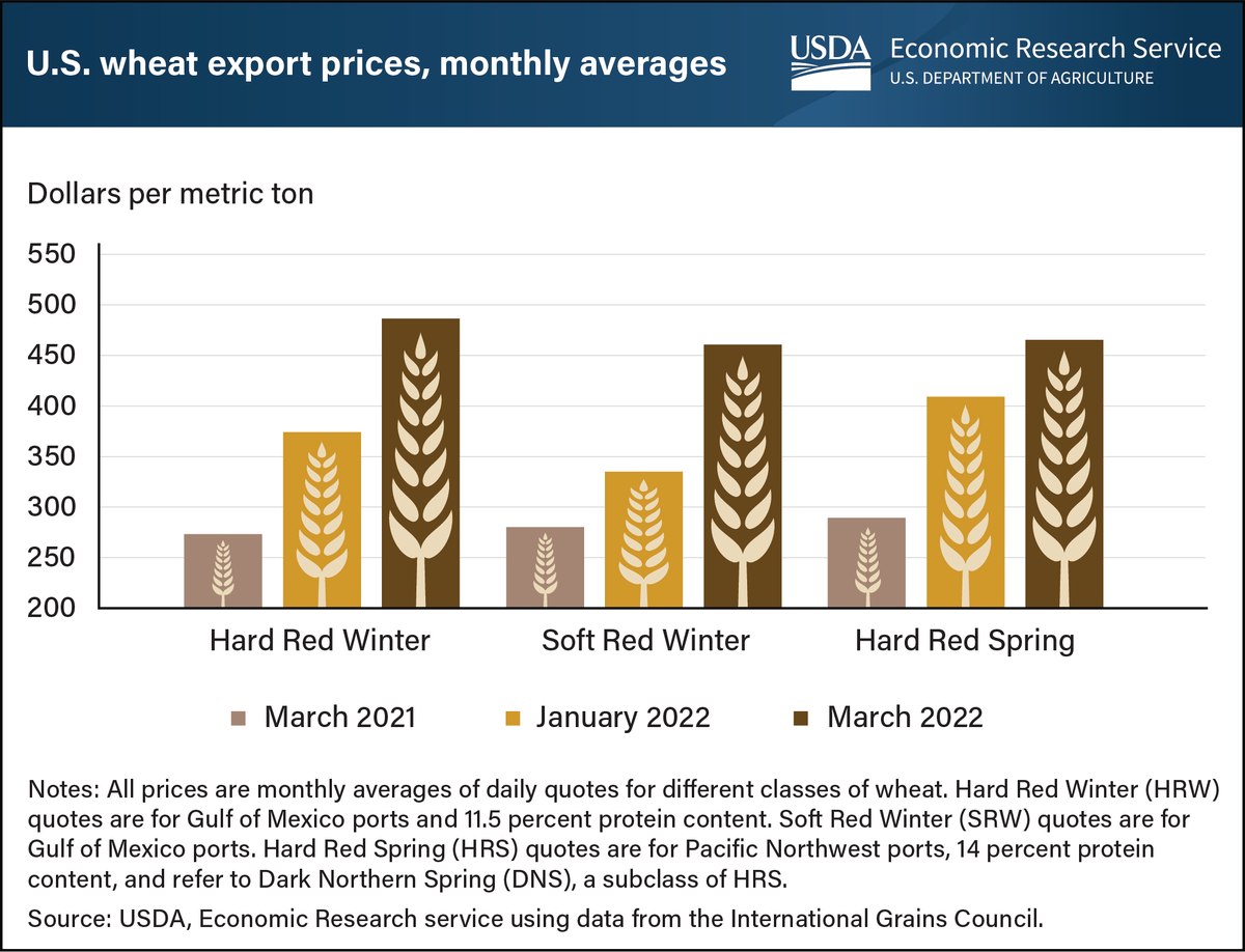 USDA_ERS's tweet photo. U.S. wheat prices surge in wake of Russia-Ukraine conflict.  Learn more: https://t.co/kZibHF4OAE. https://t.co/X7Qb2BxqgH