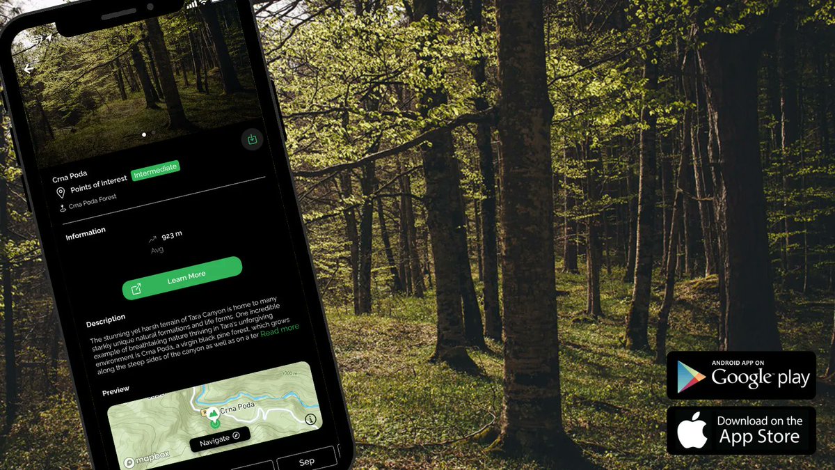 meanderbug's tweet image. In honor of #EarthDay, we added the Crna Poda Forest in Northern #Montenegro to the Meandergbug App. This is a massive, endemic tree that deserves to be on your favorites list. 
#EarthDay2022