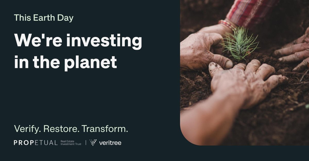 Propetual Capital Partners tweet media