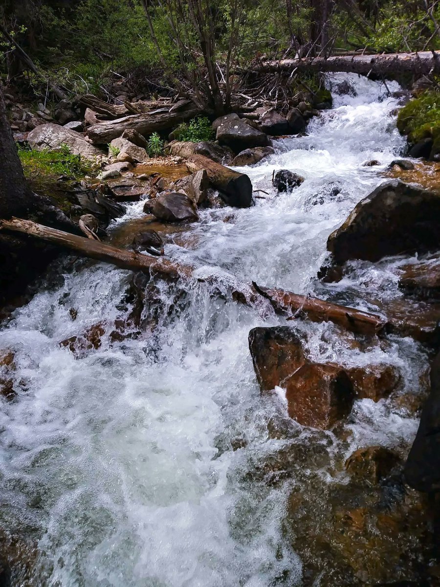 RiverWatchCO's tweet photo. Happy Earth Day!! 🌎

Thank you to all our volunteers for their time and dedication towards monitoring our river systems. Check out our updated kudoboard  that shows all the hard work our great volunteers have done!

Click this link to check it out. https://t.co/V2JB2UBEyG https://t.co/NQZlpEfeel