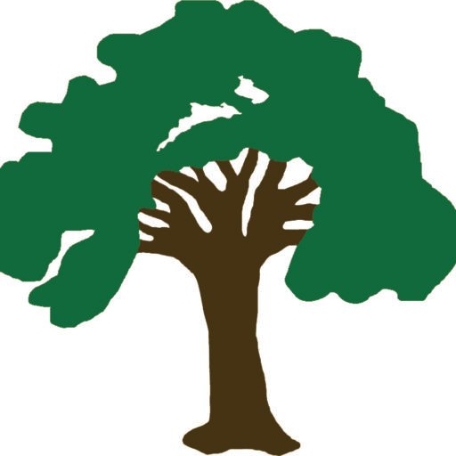 LoneTreeSF's tweet image. The Lone Tree Spirit Foundation is pleased to announce online payments are now available for the 45s Tournament.

ltsf.org/45s-tournament/