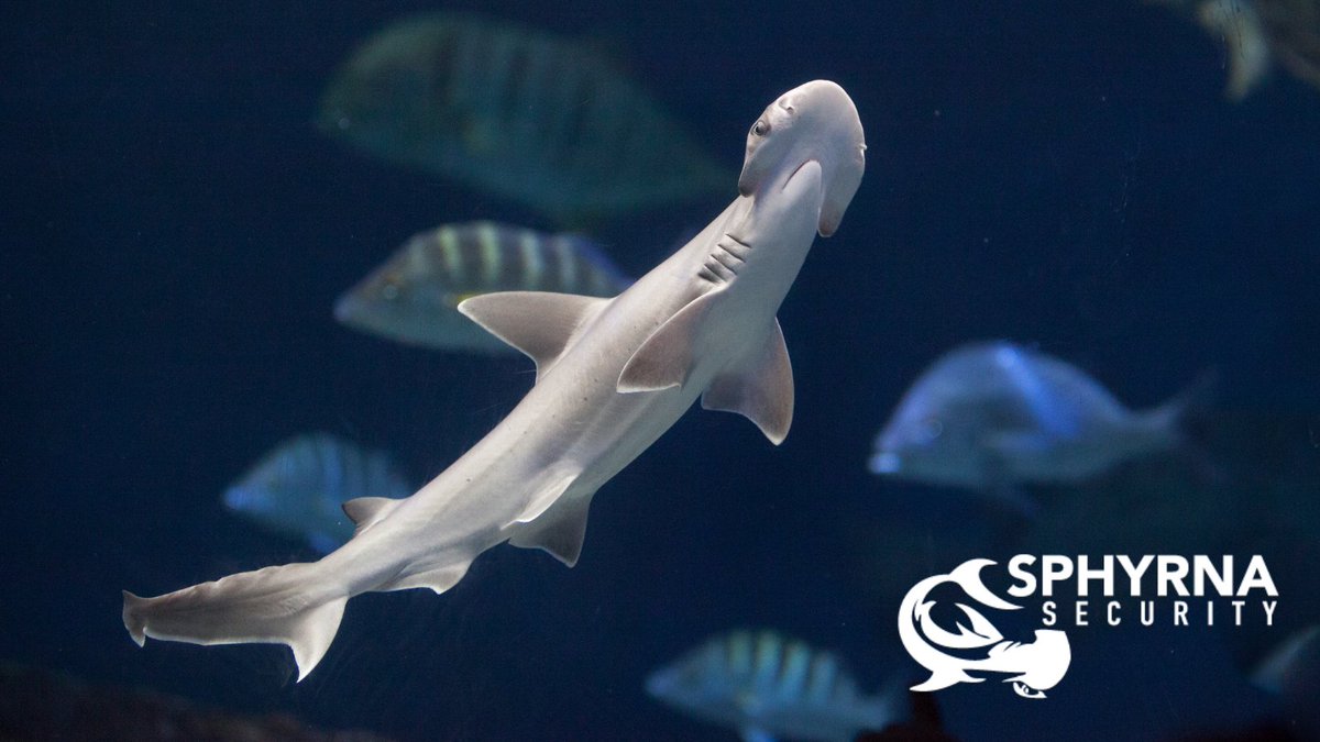 One of us (me) is moving to PEI soon, so while I don't want to brag on a corporate account, there might be pics of lobsters and ocean trivia just for fun. ;) Actually, Verity was created by #Sphyrna Security (our great leader is a diver who's fond of sharks)!