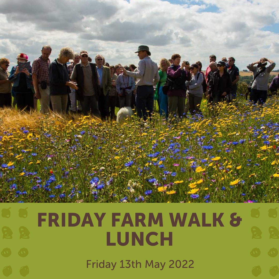 RealFarmED's tweet photo. Explore Honeydale Farm on an inspiring and informative guided farm walk, led by Founder, Ian Wilkinson or a member of the FarmED team. Book your spot here:
https://t.co/Cgsz2T87I2
#farmlifeuk #regenerativeagriculture #regenerativefarming #farmwalk #ukfarming https://t.co/Xcc82RDCNQ