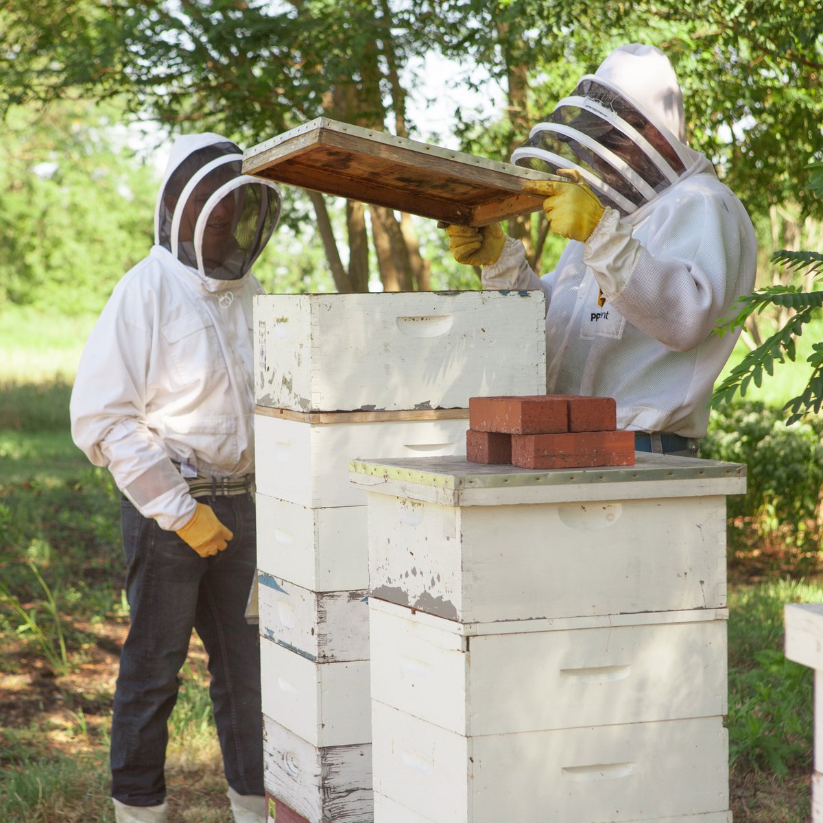 All weekend long, save 15% site-wide with code EARTHDAY - it's the perfect excuse to treat yourself to some Mother Nature approved goods from the hive.
.
.
shop.waxingkara.com