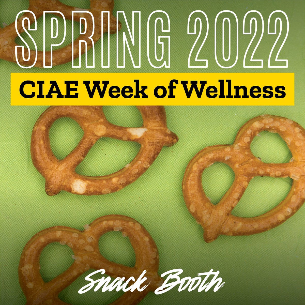 CIAE WELLNESS WEEK: This Thursday (4/28) we'll be making our own snacks! Check out link in bio to learn more about our week events!  #uiowa #uiowaciae