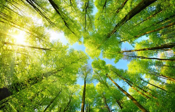 GaryLevante's tweet photo. It's one thing to celebrate #EarthDay22 but its another to take action. Proud that @BerkshireBank has committed $300MM through its #communitycomeback to support the transition to a low-carbon economy. #EarthDayEveryDay #ClimateActionNow https://t.co/W2PiC98Btd