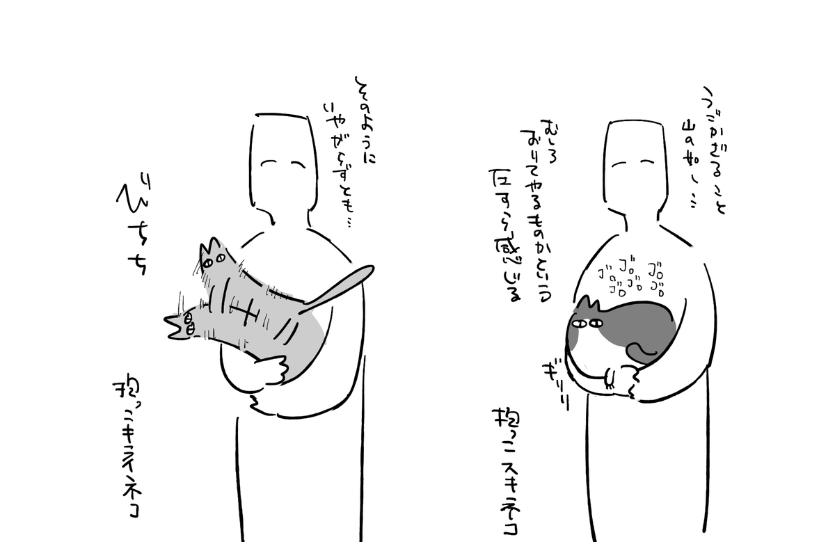 ねこ 