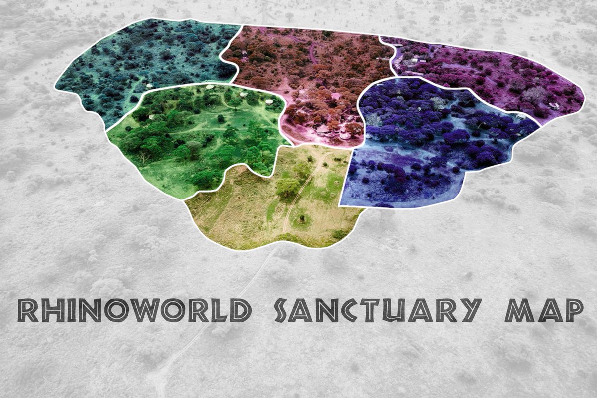 RhinoWorldNFT's tweet photo. First section opens today in Discord. 
👀
#NFTs #NFTCommunity 
Who wants in? https://t.co/5QrMVrbnRE