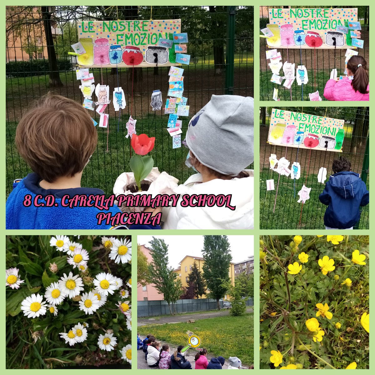 CarmelaSimone2's tweet photo. #GlobalActionDays #MyActionsMatter #GAIA2030,#GenerationRestoration #LitterLessCampaign
At Carella Primary School - Piacenza 🇮🇹, all students and teachers with the coordinator, M. ZILIOLI, sustain the Magic 🌍Earth with different♻️Actions... 😍outdoor and indoor... #Action1 https://t.co/1fscPcrMIS