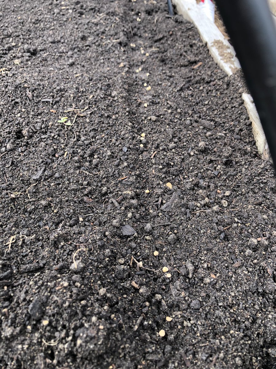 derek brez tweet media