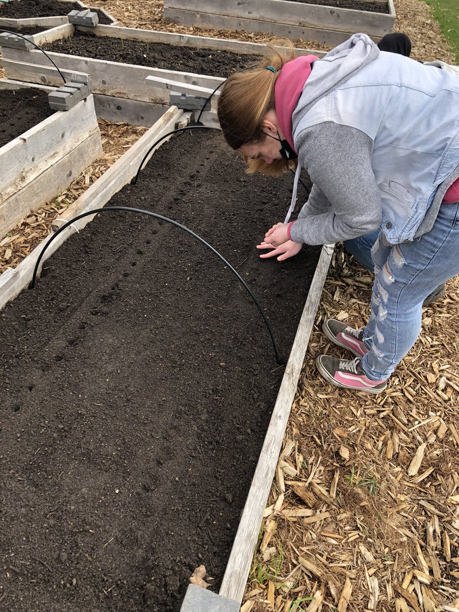 derek brez tweet media