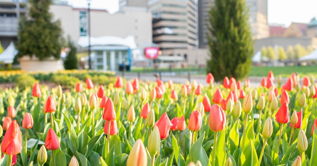 Happy Earth Day everyone! Today especially we’re extra grateful for this 6-acre green oasis in Downtown Columbus. 

Pick up trash, plant a flower, commit to composting, bike or bus instead of driving. However you go green, giver mother earth a little love today. 🌎🌱