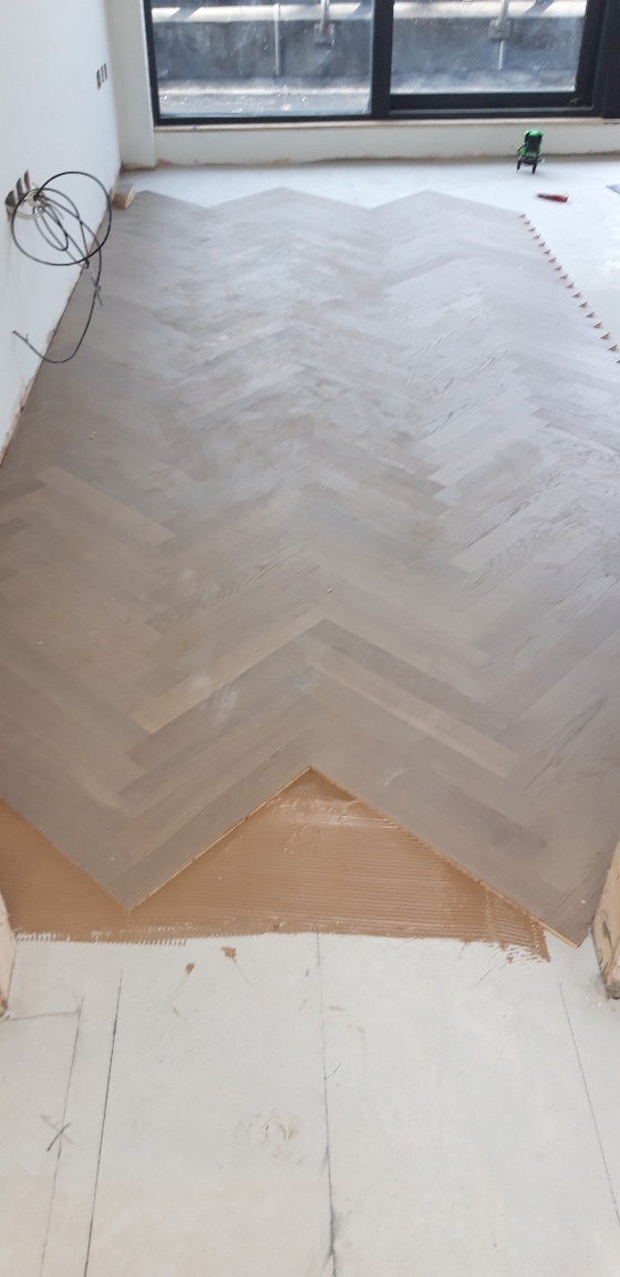 CW Duke Ltd tweet media