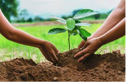 MGC_Recruteurs's tweet photo. C’est en 1970 qu’on a, pour la première fois, célébré le Jour de la Terre. Le mouvement s’est étendu partout et s’est transformé.

Et si votre marque Employeur passait par vos actions pour la planète?

#JourdelaTerre2022 #JourdelaTerreCanada 🌍 https://t.co/xrR1RvfwQY