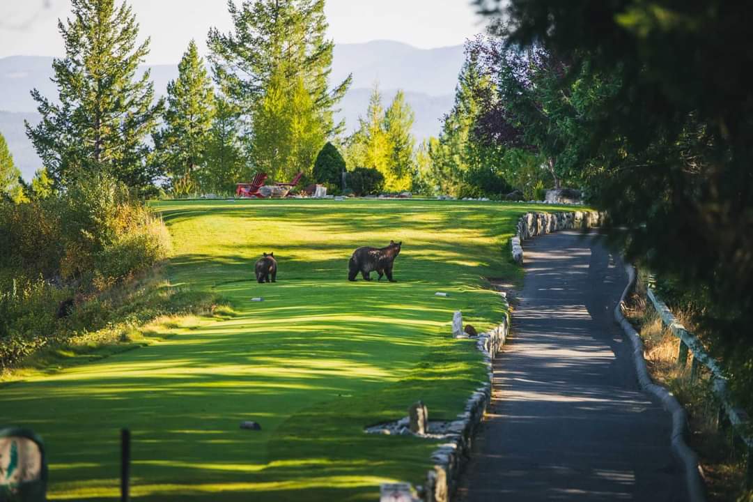 Happy Earth Day!

Take plenty of time today and look around and appreciate everything outside!

Photo Credit: <a href="/p6rgolf/">p6rgolf</a>

#tricklecreekgolf #mykimberley #earthday