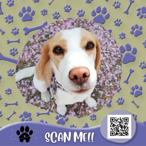 CafeOfPaws's tweet photo. ⠀⠀⠀⠀⠀⠀⠀⠀⠀
⠀⠀⠀⠀[ 🐾 ] YOU RECEIVED A PET!

⠀⠀⠀𓏲 from  ›  https://t.co/jFVzutN9Q4
⠀⠀⠀𓏲 to      ›  @largozasam

⠀ 💬 “ for you! ”
⠀⠀⠀⠀⠀⠀⠀⠀⠀ https://t.co/zxyViQy9XI
